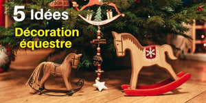 idees-decoration-equestre