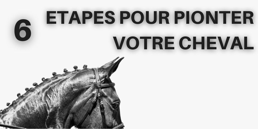 Comment faire des Pions à son Cheval en 6 étapes