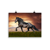Poster cheval Frison