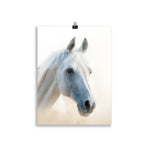 Poster cheval blanc