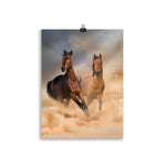 Poster Cheval Duo Sauvage