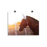 Poster Cheval Bonnet