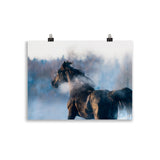 Poster Cheval Noir dans la Brume
