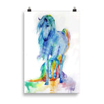 Poster cheval couleur