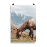 Poster Cheval à la montagne