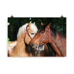 Poster Cheval Affection