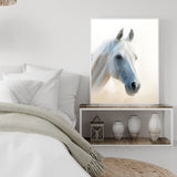 Poster cheval blanc chambre