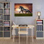 Poster cheval Frison