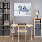 Poster cheval neige bureau