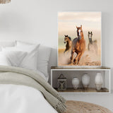 Poster cheval sauvage chambre