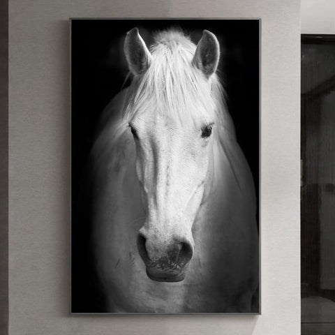 Tableau cheval noir et blanc
